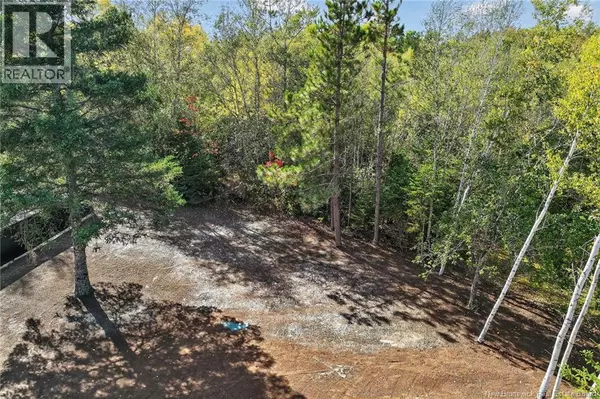 Shediac, NB E4P1L3,141 Cartier