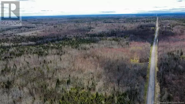 Champ Dore, NB E4T3H3,Lot Route 490