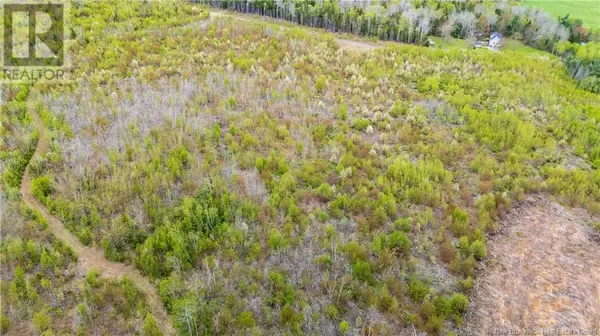 Anagance, NB E4Z1E1,LOT 37 Davidson Road