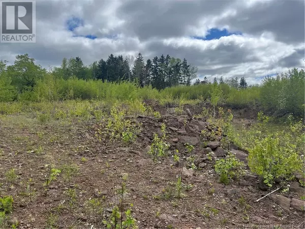Hampton, NB E5N5P2,96 Hilltop Drive