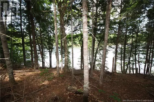 Bass River, NB E4T1J3,15-59 Bass River Point Route