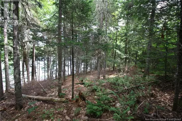 Bass River, NB E4T1J3,15-59 Bass River Point Route