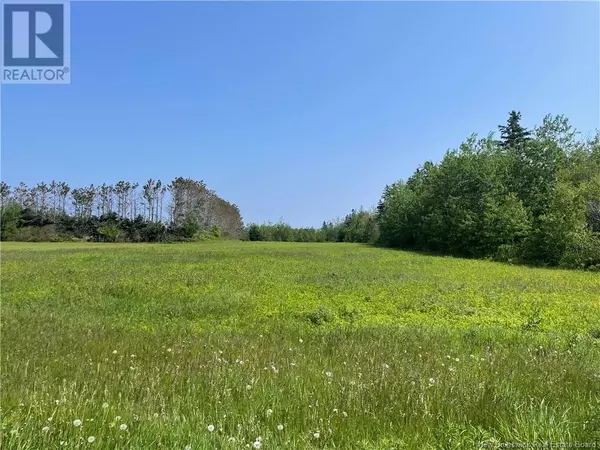 Trois Ruisseaux, NB E4N2T5,Lot 79-8 Des Bleuets Street
