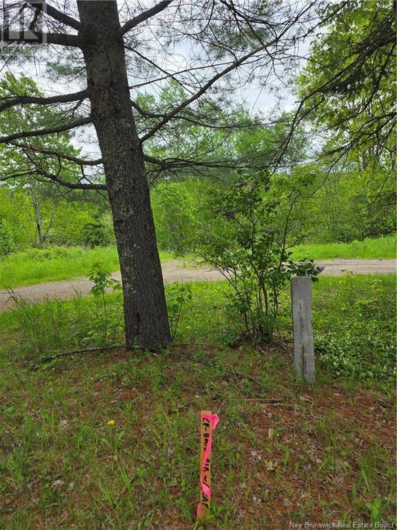 Taymouth, NB E6C2E9,1736 Route 148