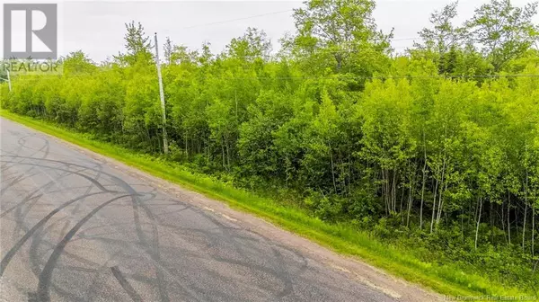 Shemogue, NB E4N2N1,Lot 17-2 Collins Lake Road