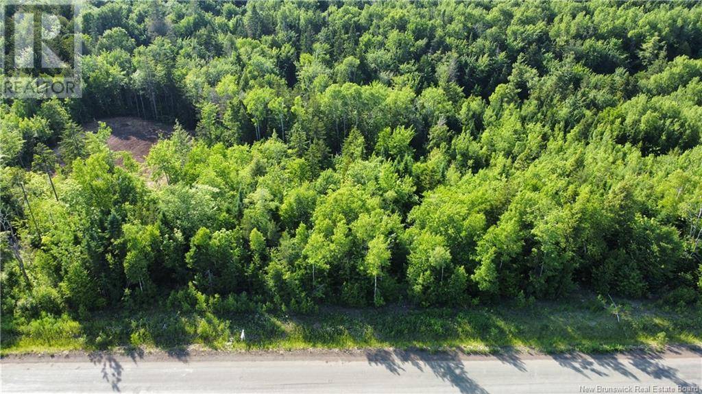 Lot 21-39 Orchard Avenue, Irishtown, NB E1H0J5