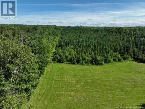 Miramichi, NB E1N4T1,240 Craigville Road