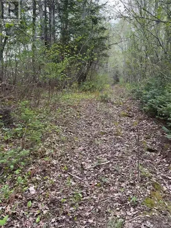 Miramichi, NB E1N6B5,14 Acres Islandview Drive