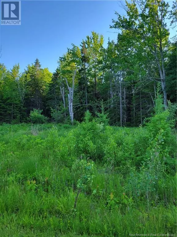 Cumberland Bay, NB E4A3J3,Lot 79-19 Morton Lane
