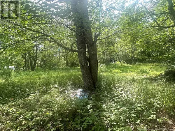 Lakeville, NB E1H1M5,410 Weisner Road