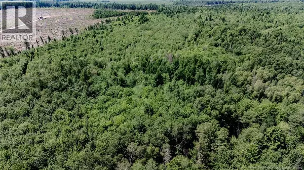 Vacant Lot CH NW ALDOUANE RIVER RD, Saint-charles, NB E4W0A8