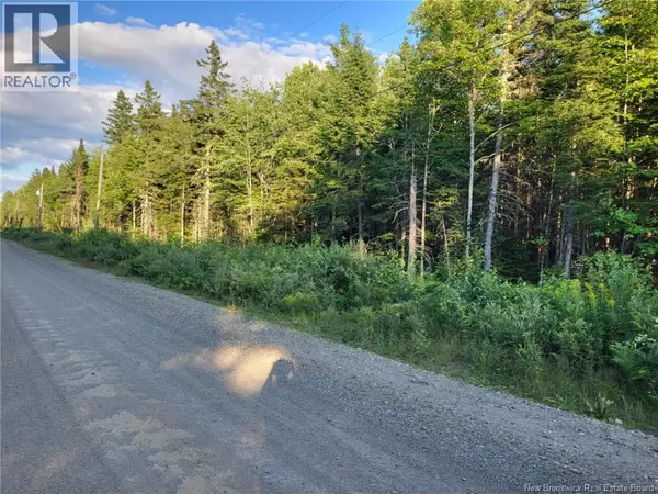 Taymouth, NB E6C1Z5,Lot J Zionville Road