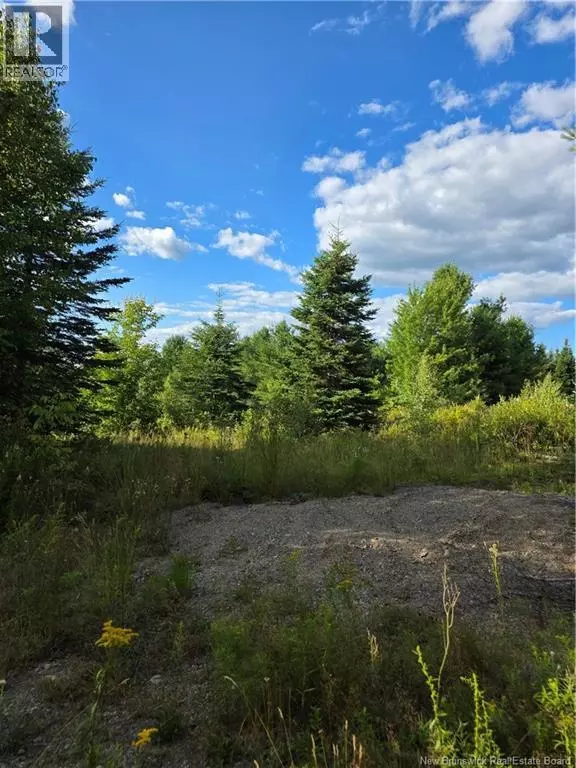 Nackawic, NB E6E1E9,124 Greenhill Lake Road