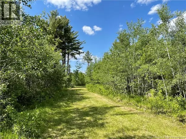 Saint Margarets, NB E1N5C5,9386 11 Route
