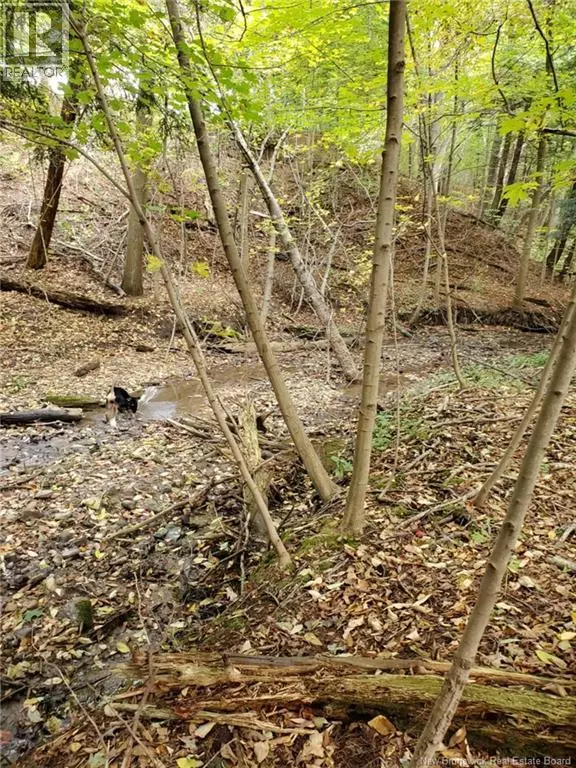 Kierstead Mountain, NB E5P1X3,Lot 2 Thompson Road