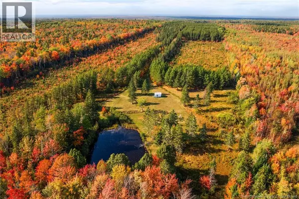 Youngs Cove, NB O0O0O0,Lot Route 10