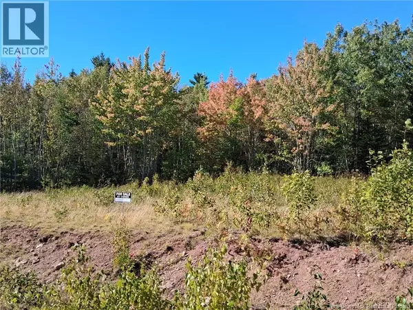 Lot 04-16 Sunset View Lane, Cumberland Bay, NB E4A0A2