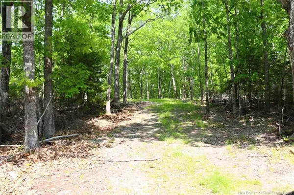 Hills Point Road, St. Stephen, NB E3L4K5