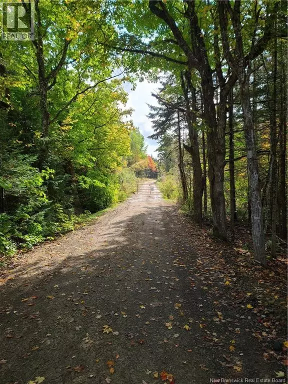 Albert Mines, NB E4H1R3,LOT Albert Mines