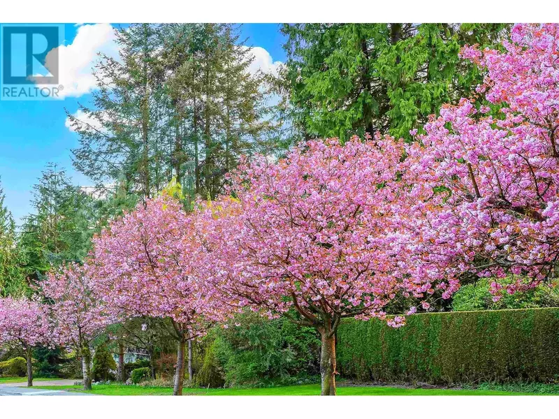 74 E 37TH AVENUE, Vancouver, BC V5W1E2