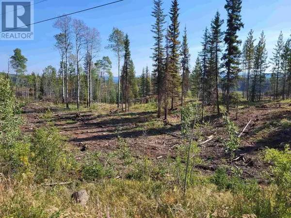 Burns Lake, BC V0J1E2,4 COLLEYMOUNT AGER RD #LOT