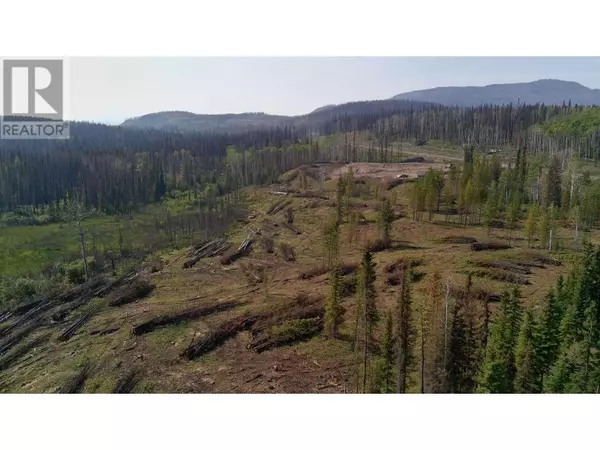 Burns Lake, BC V0J1E2,4 COLLEYMOUNT AGER RD #LOT