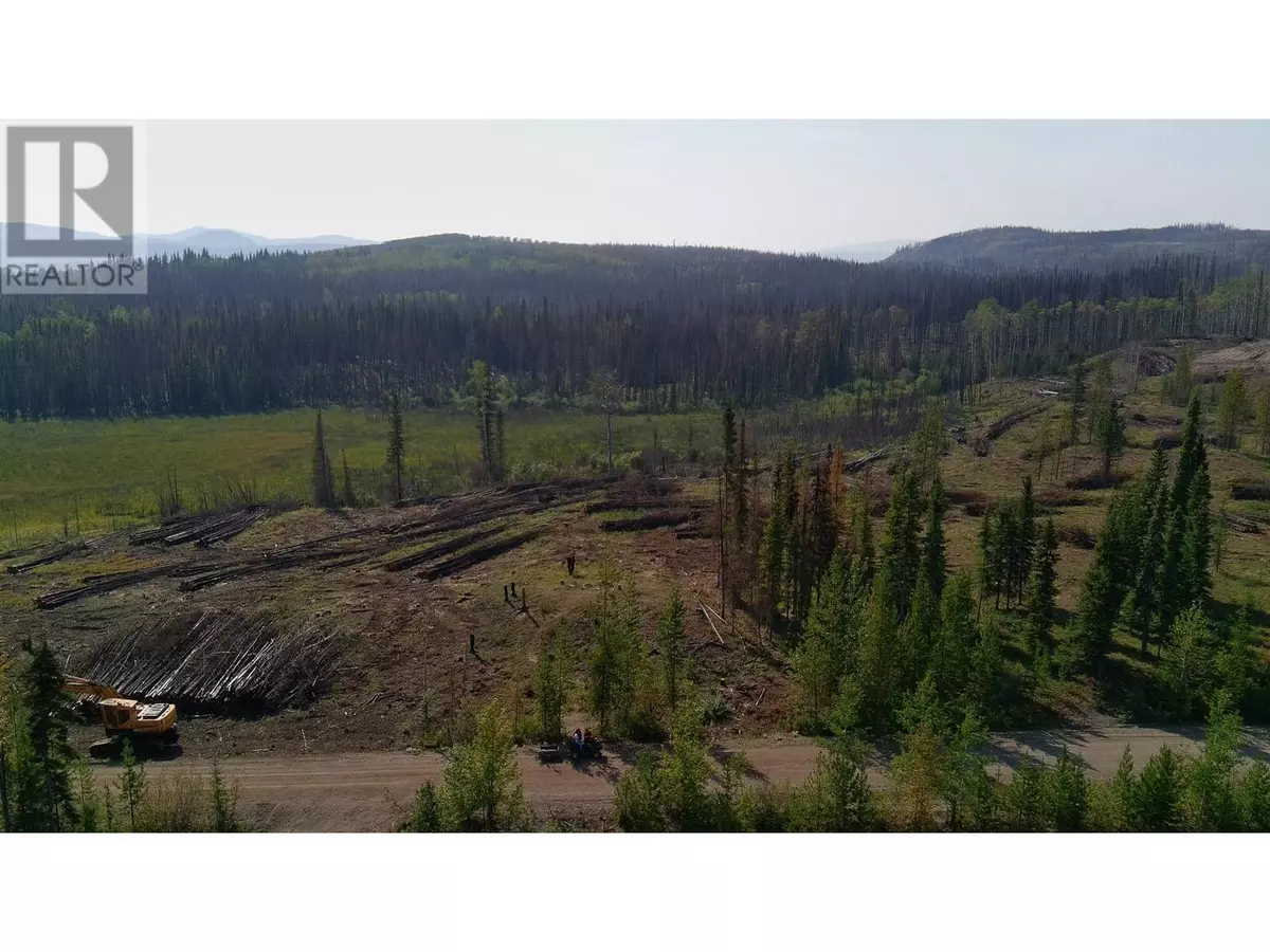 Burns Lake, BC V0J1E2,4 COLLEYMOUNT AGER RD #LOT