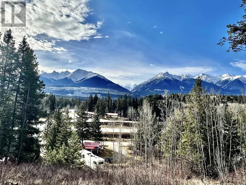 11974 ESSEN ROAD, Valemount, BC V0E2Z0