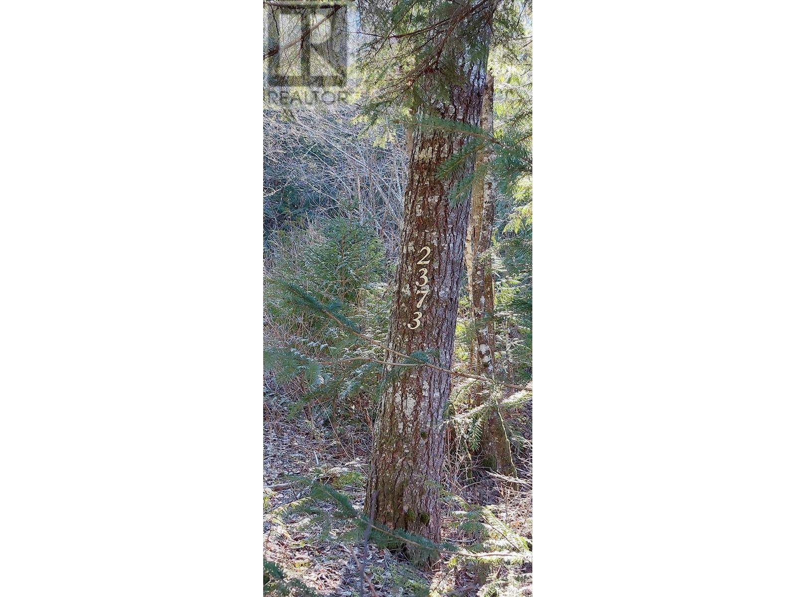 Bella Coola, BC V0T1H0,18 MACKENZIE 20 HWY #LOT