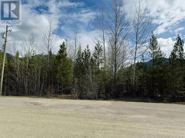 Valemount, BC V0E2Z0,LOT 5 STARVIEW ROAD