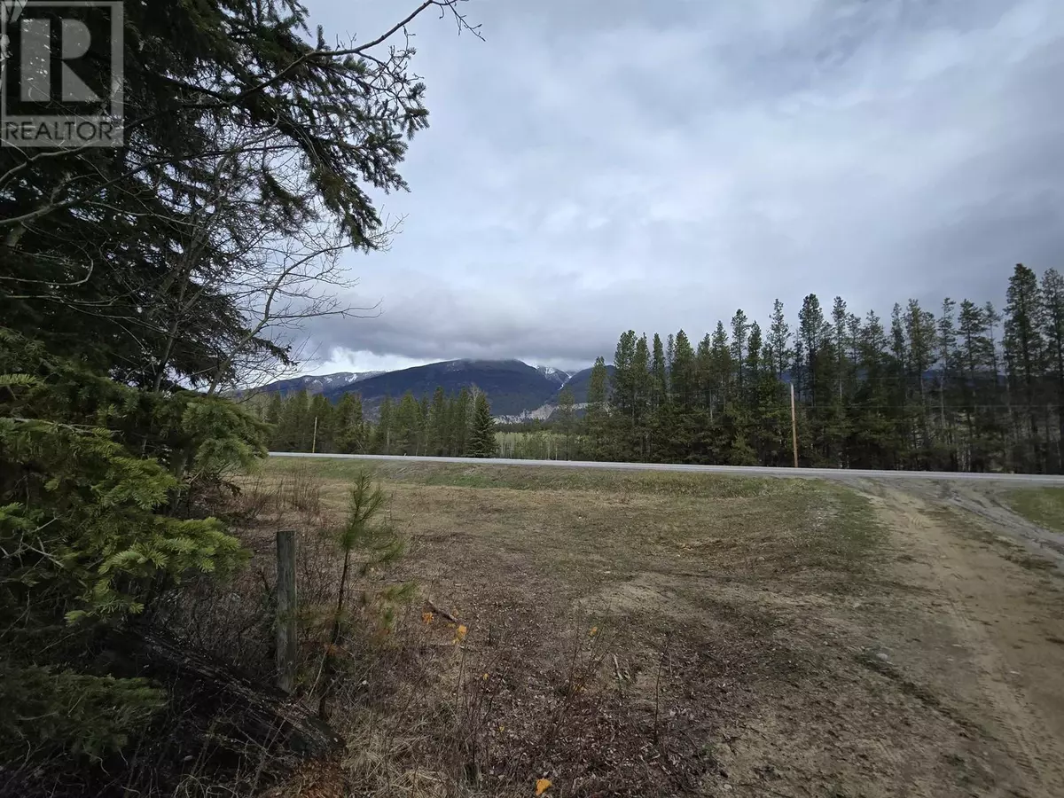 Valemount, BC V0E2Z0,LOT 1 N 5 HIGHWAY