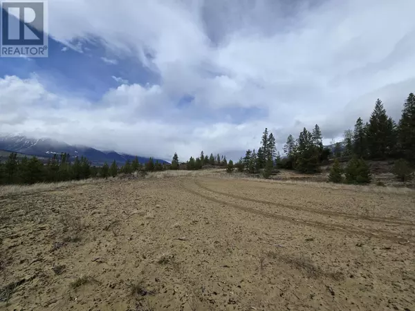 Valemount, BC V0E2Z0,LOT 1 N 5 HIGHWAY