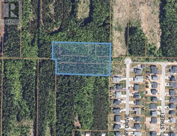 TWEDLE AVENUE, Terrace, BC V8G4R4