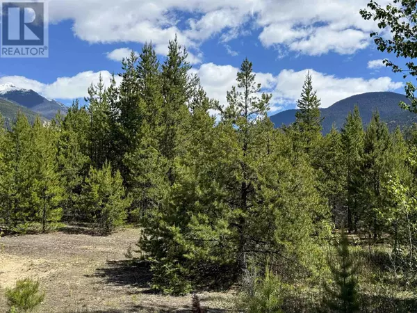 LOT 3 STARVIEW ROAD, Valemount, BC V0E2Z0