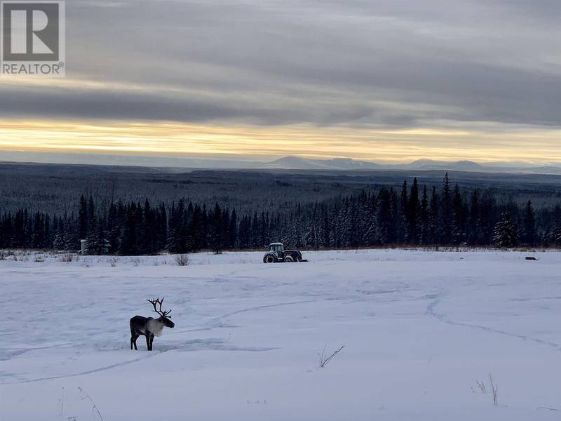 MILE318 ALASKA HIGHWAY, Fort Nelson, BC V0C1R0