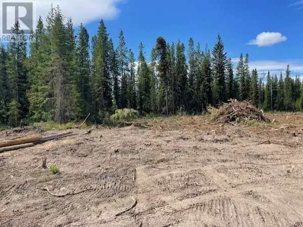 Burns Lake, BC V0J1E0,MOE ROAD