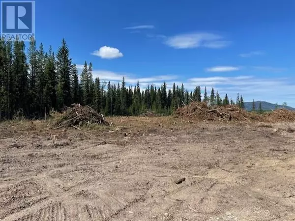 Burns Lake, BC V0J1E0,MOE ROAD