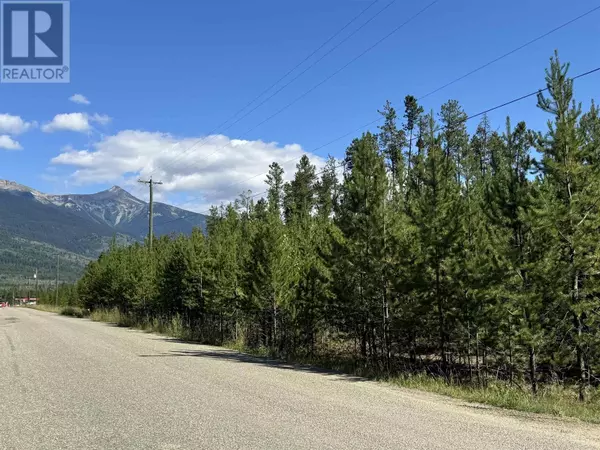 Valemount, BC V0E2Z0,990 CRANBERRY LAKE ROAD