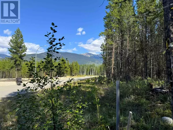 Valemount, BC V0E2Z0,1285 FOWLER PLACE