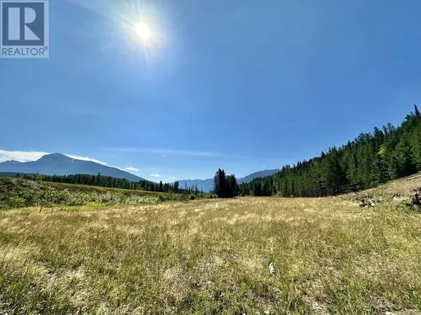 Valemount, BC V0E2Z0,1 5 HWY #LOT