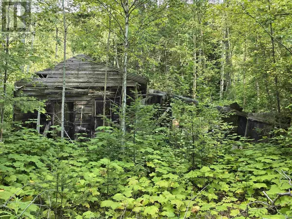 Valemount, BC V0E2Z0,11328 E 16 HIGHWAY