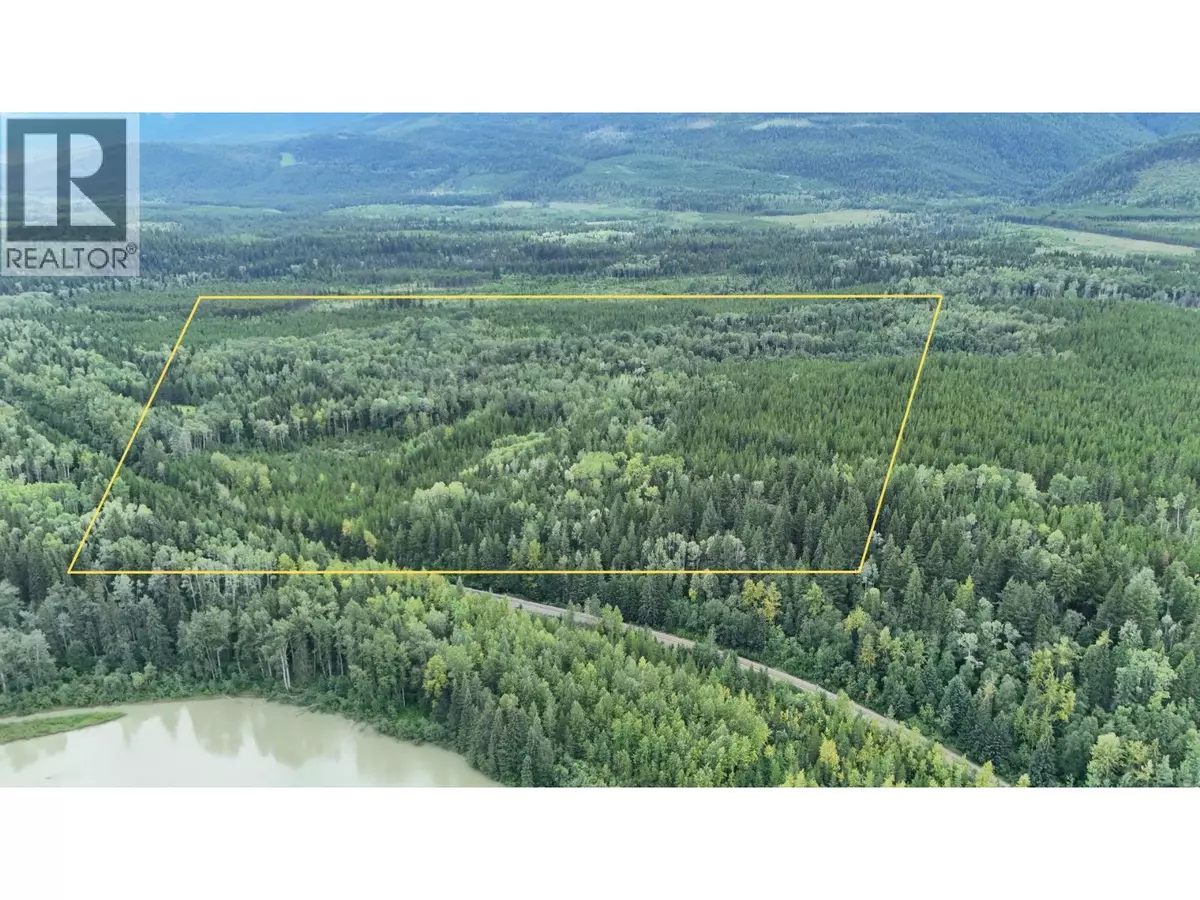 Valemount, BC V0E2Z0,SHERE LAKE ROAD