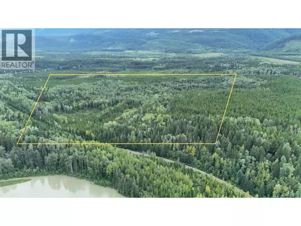 SHERE LAKE ROAD, Valemount, BC V0E2Z0