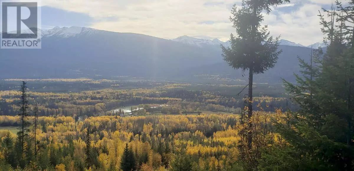 Valemount, BC V0E2Z0,DL 6034 E 16 HIGHWAY