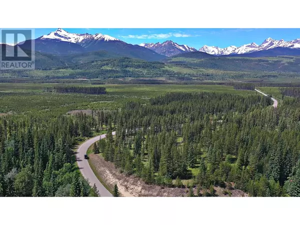 Valemount, BC V0E2Z0,4 CROOKED CREEK RD #LOT