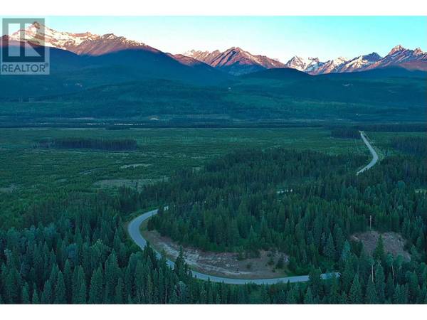 4 CROOKED CREEK RD #LOT, Valemount, BC V0E2Z0