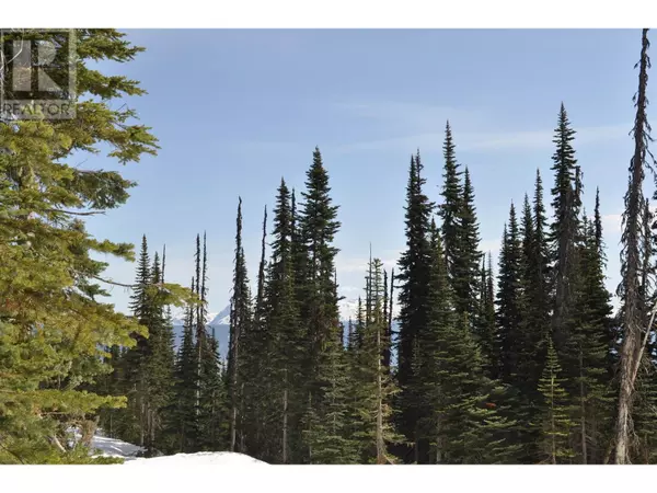 Smithers, BC V0J2N0,7 ALPINE WAY #PST