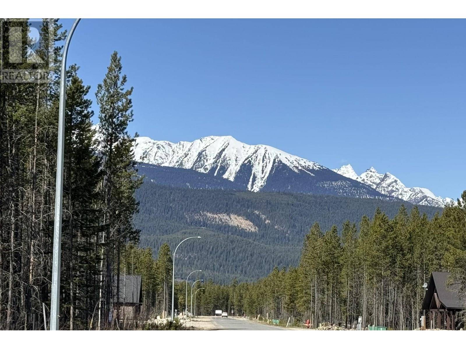 Valemount, BC V0E2Z0,1035 18TH AVENUE