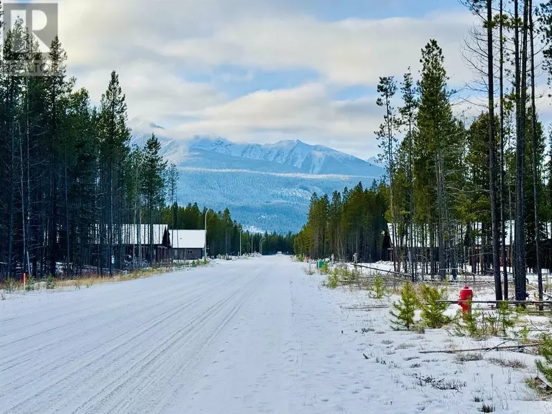 1005 18TH AVENUE, Valemount, BC V0E2Z0