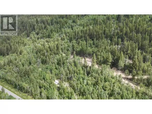 Mcbride, BC V0J2E0,3260 MOUNTAIN VIEW ROAD